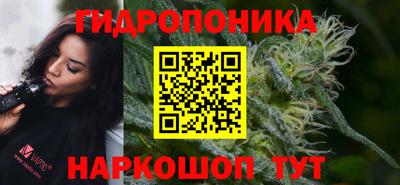 винт Кингисепп